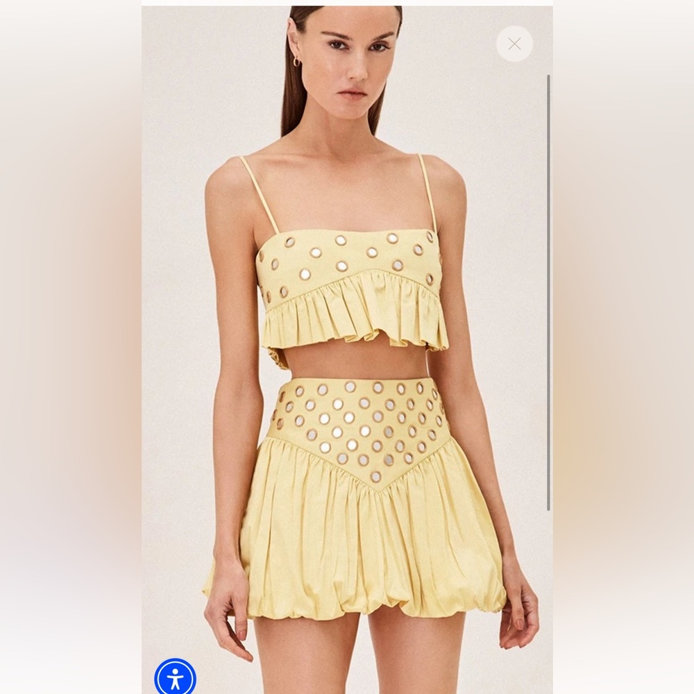 Alexis Zinn skirt and Liane Top NWT